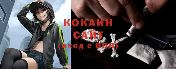 шишки Верхний Тагил