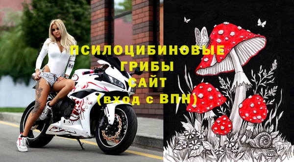шишки Верхний Тагил